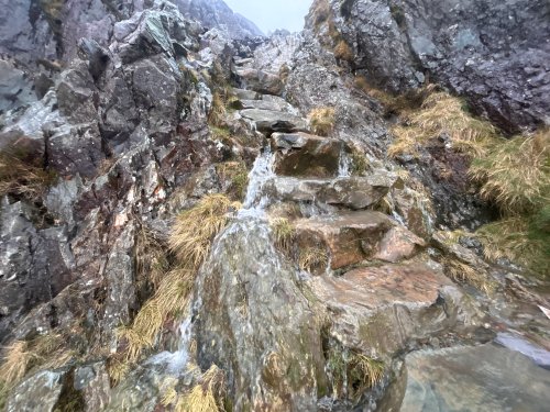 A little damp on the paths