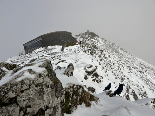 Friends in high places